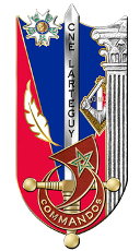 Insigne de la promotion Capitaine Larteguy