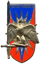 Insigne de la promotion Victoire d'Austerlitz