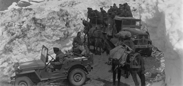 La 1e DFL (Division Française Libre) dans le massif de l'Authion