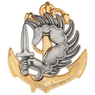 Insigne de béret de parachutiste de l'infanterie de marine